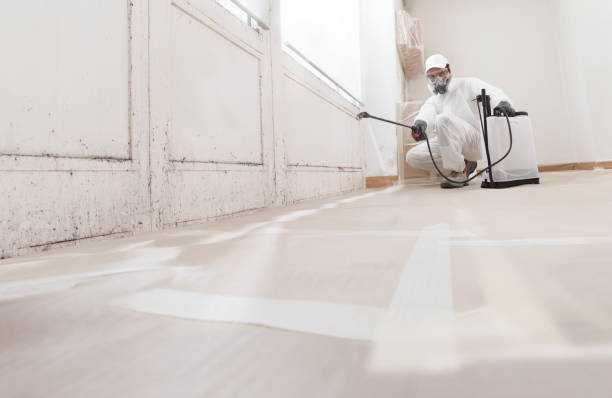 24/7 Emergency Attic Mold Removal experts in Lodi, NJ